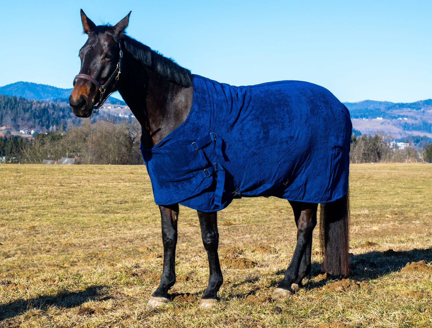 Kittys Abschwitzdecke aus Bio-Baumwolle "Midnight Blue"