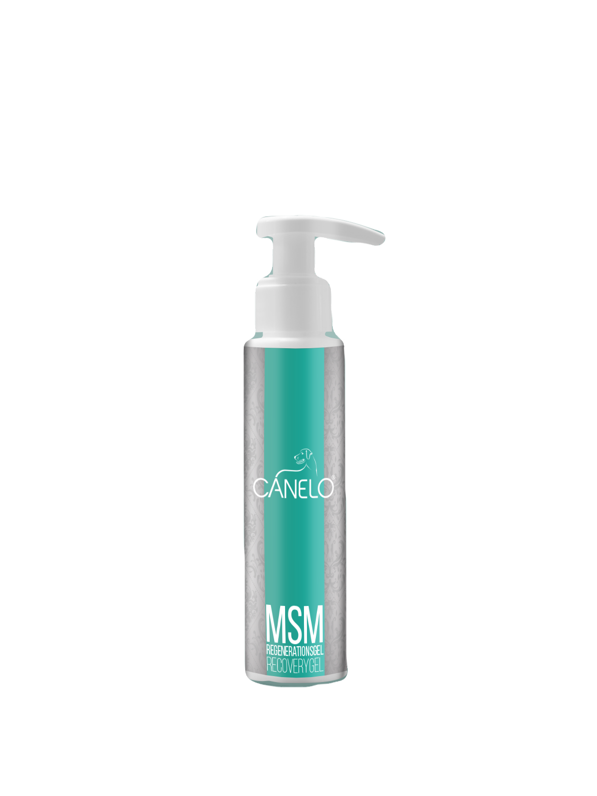 MSM Regenerationsgel für Hunde 100 ml
