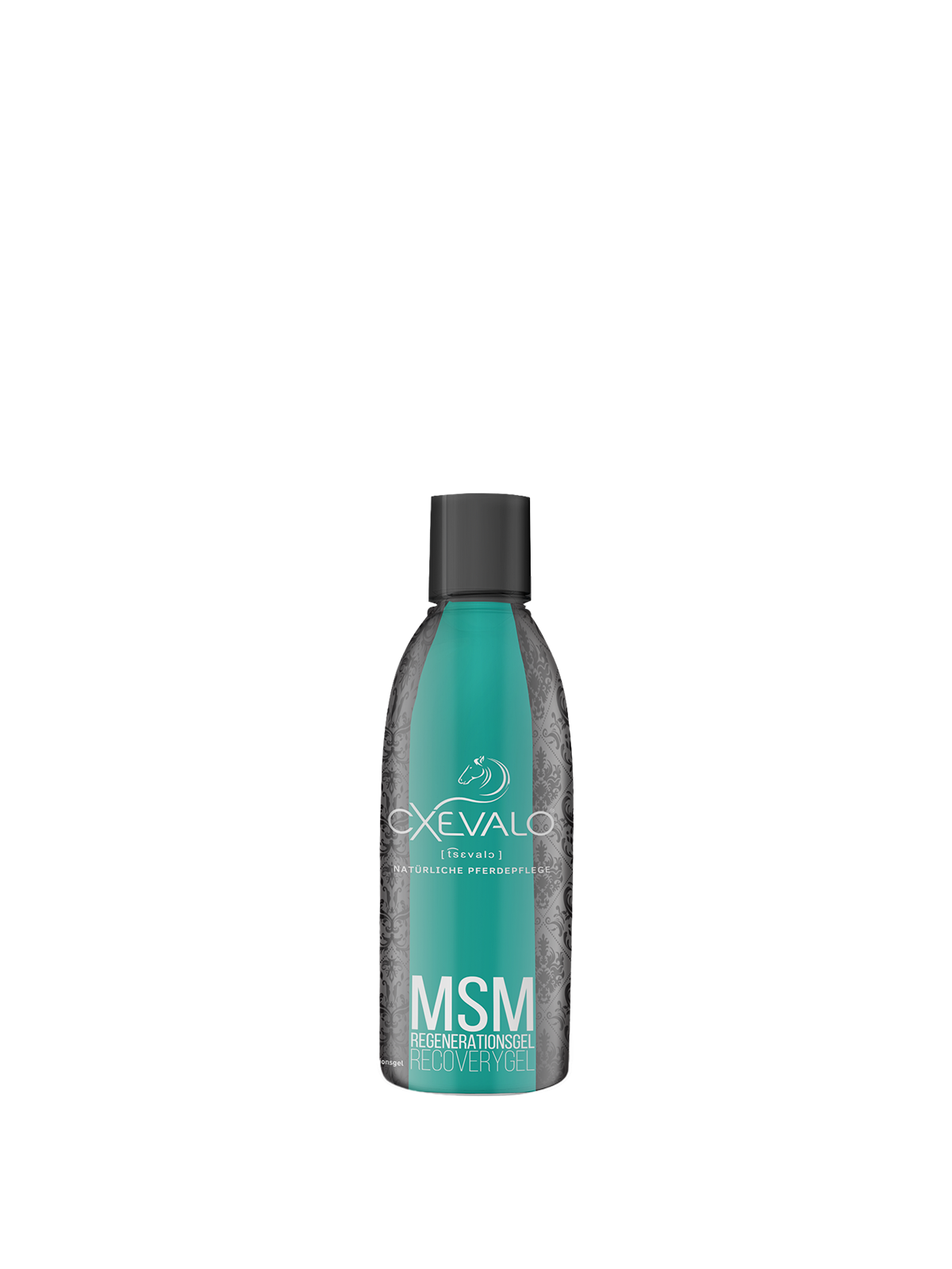 MSM Regenerationsgel mit Teufelskralle 200ml