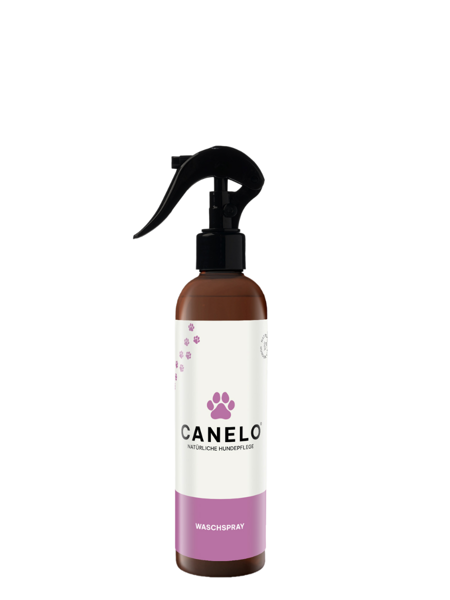 Waschspray für Hunde