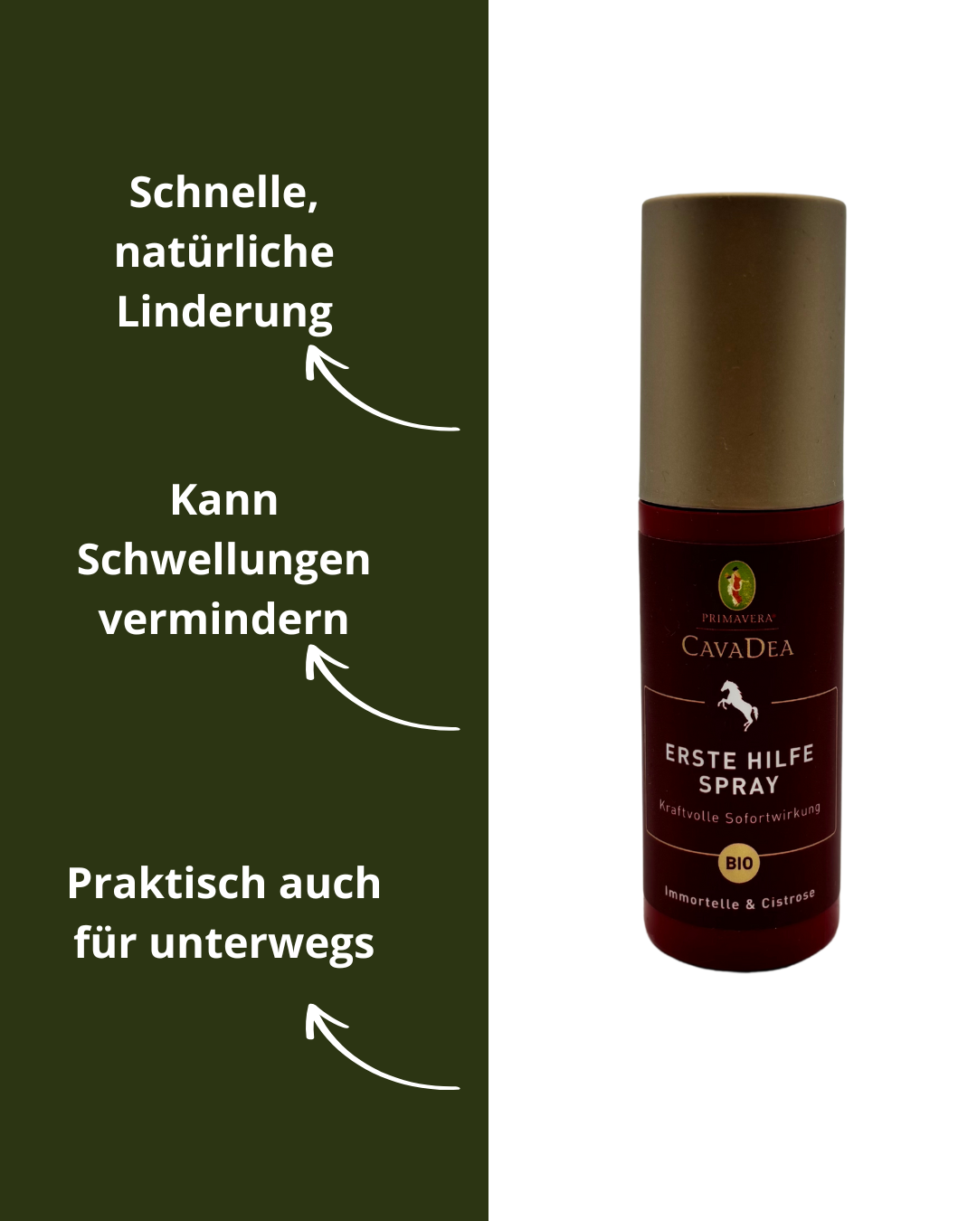 Erste Hilfe Spray bio