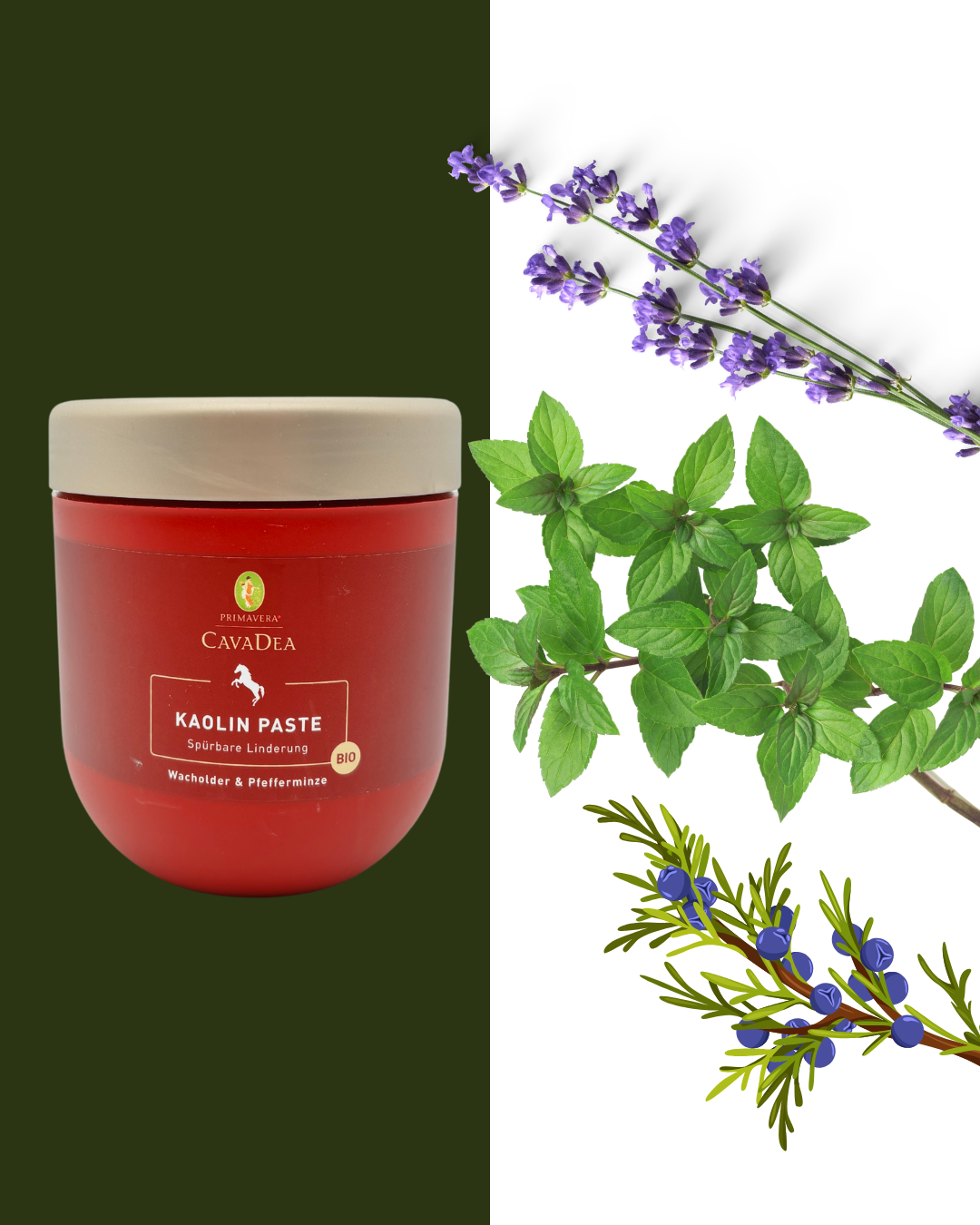 Kaolin Paste bio