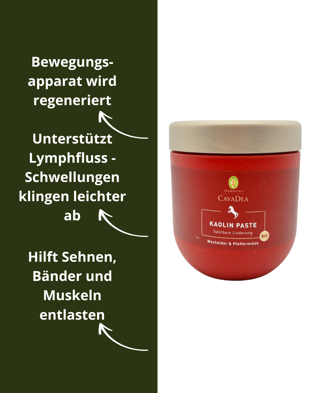 Kaolin Paste bio