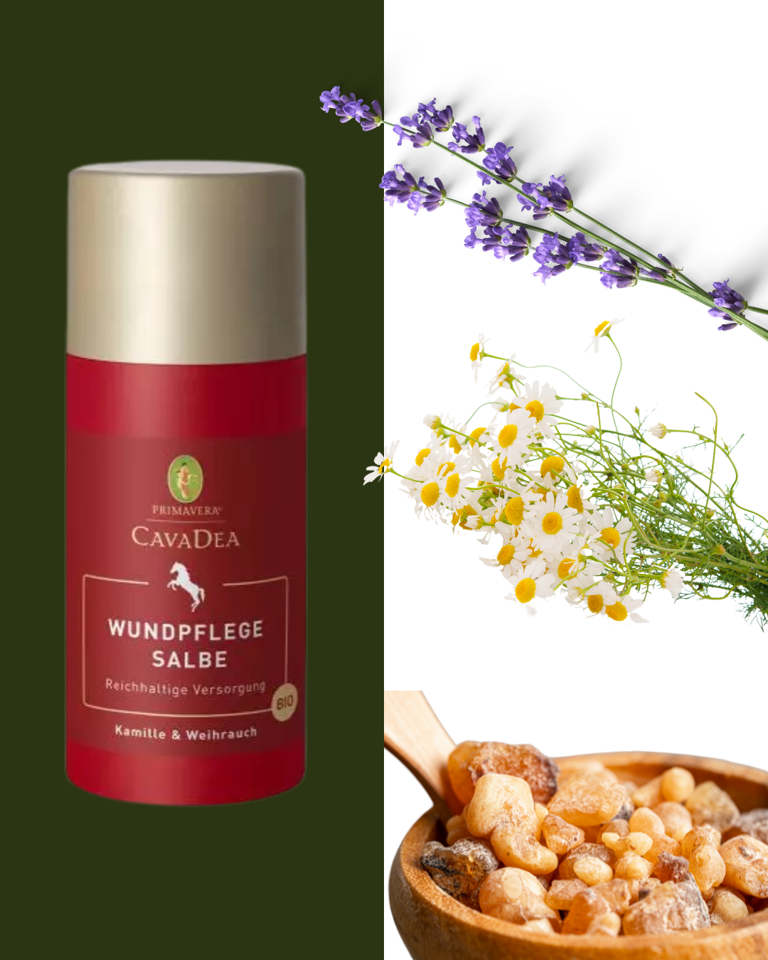 Wundpflege Salbe bio