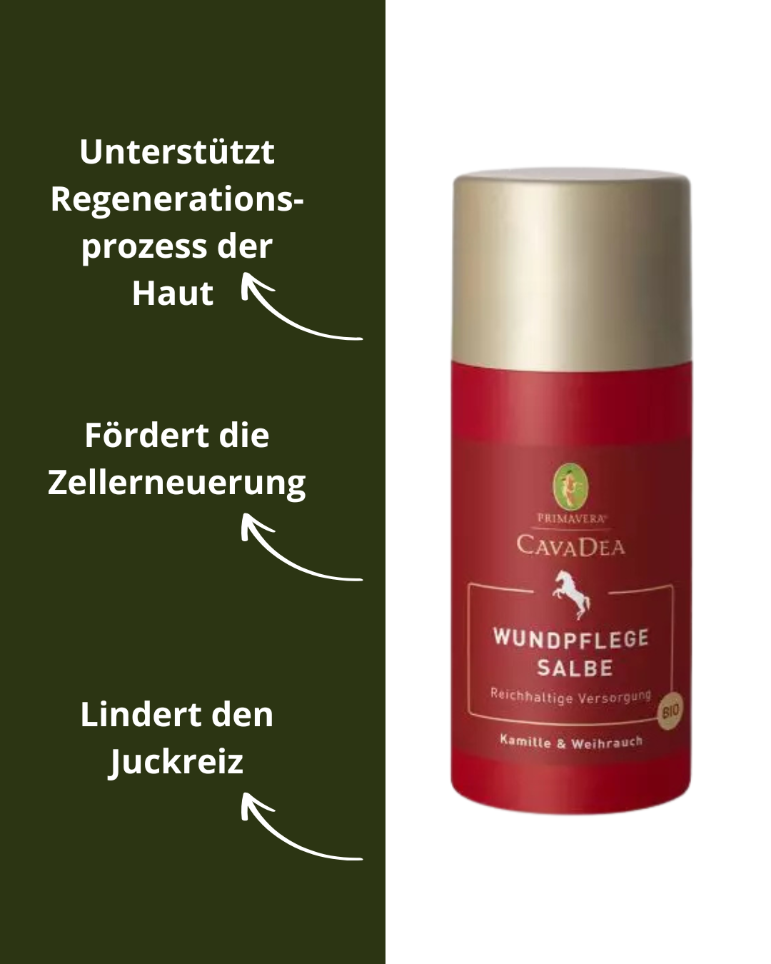 Wundpflege Salbe bio