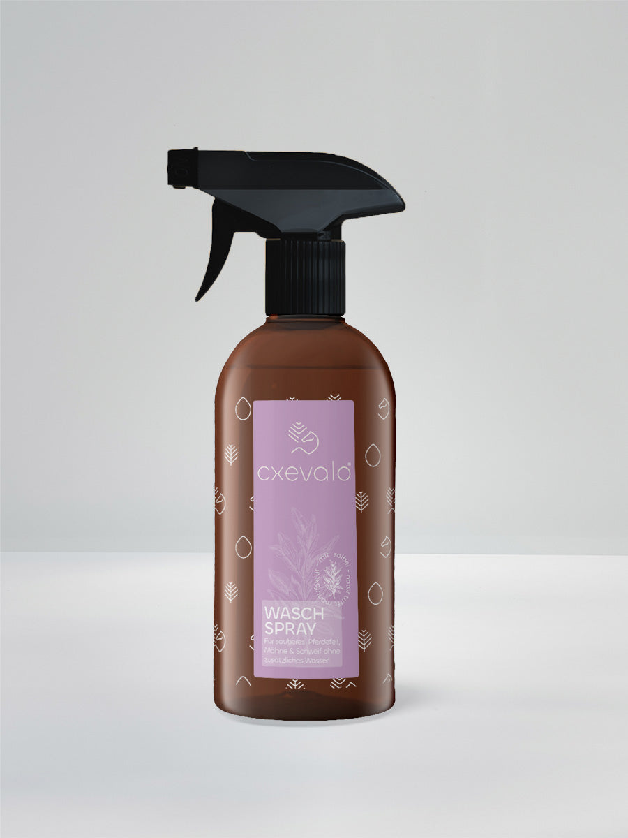 Waschspray 500 ml