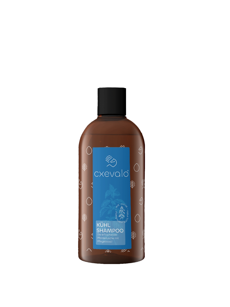 Kühlshampoo 500 ml