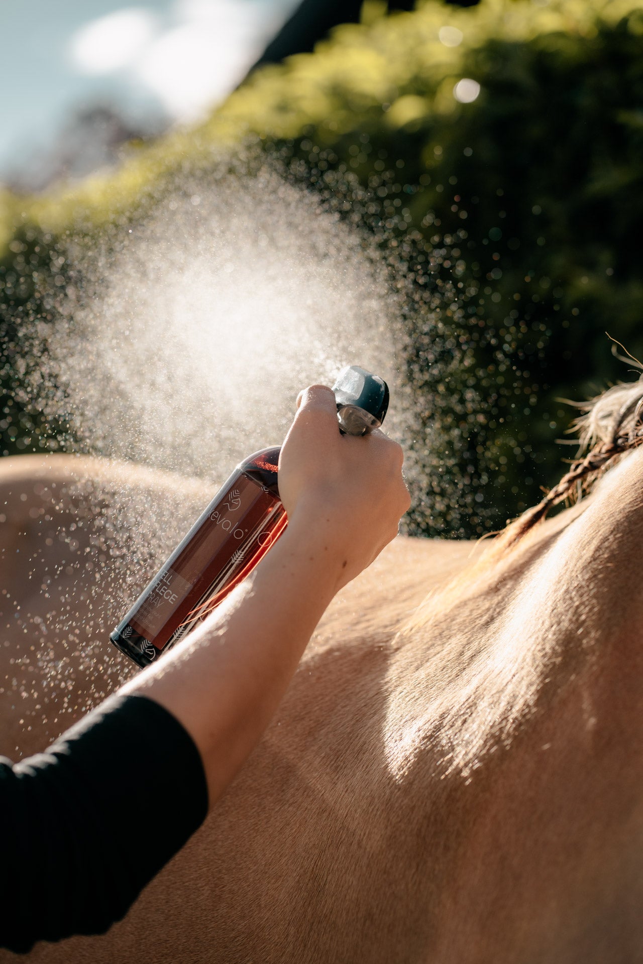 Fellpflegespray 3l Nachfüllpackung