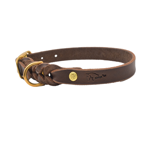 Set Gr. M - Hundehalsband und -leine aus Fettleder in braun (messing)