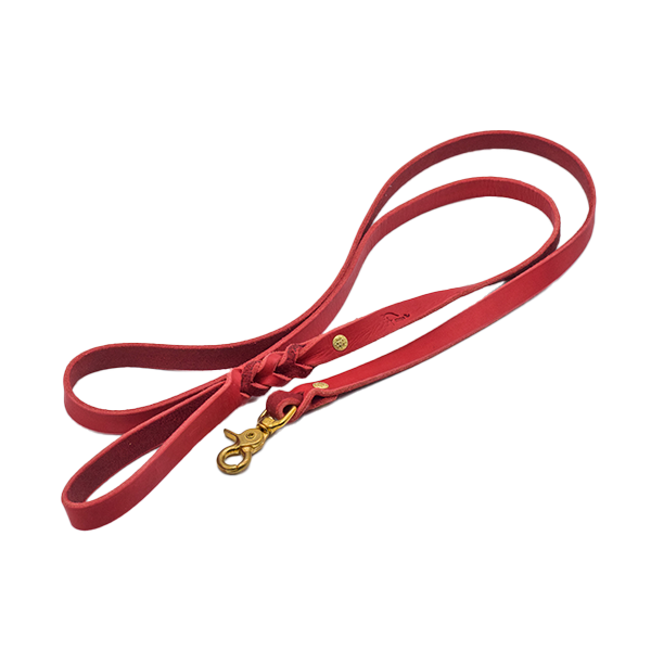 Hundeleine/Bodenarbeitsleine aus Fettleder in rot (messing)