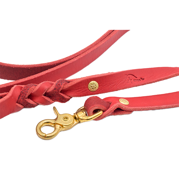 Hundeleine/Bodenarbeitsleine aus Fettleder in rot (messing)