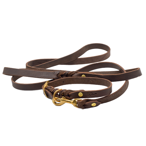 Set Gr. M - Hundehalsband und -leine aus Fettleder in braun (messing)