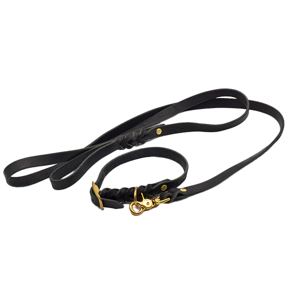 Set Gr. M - Hundehalsband und -leine aus Fettleder in schwarz (messing)