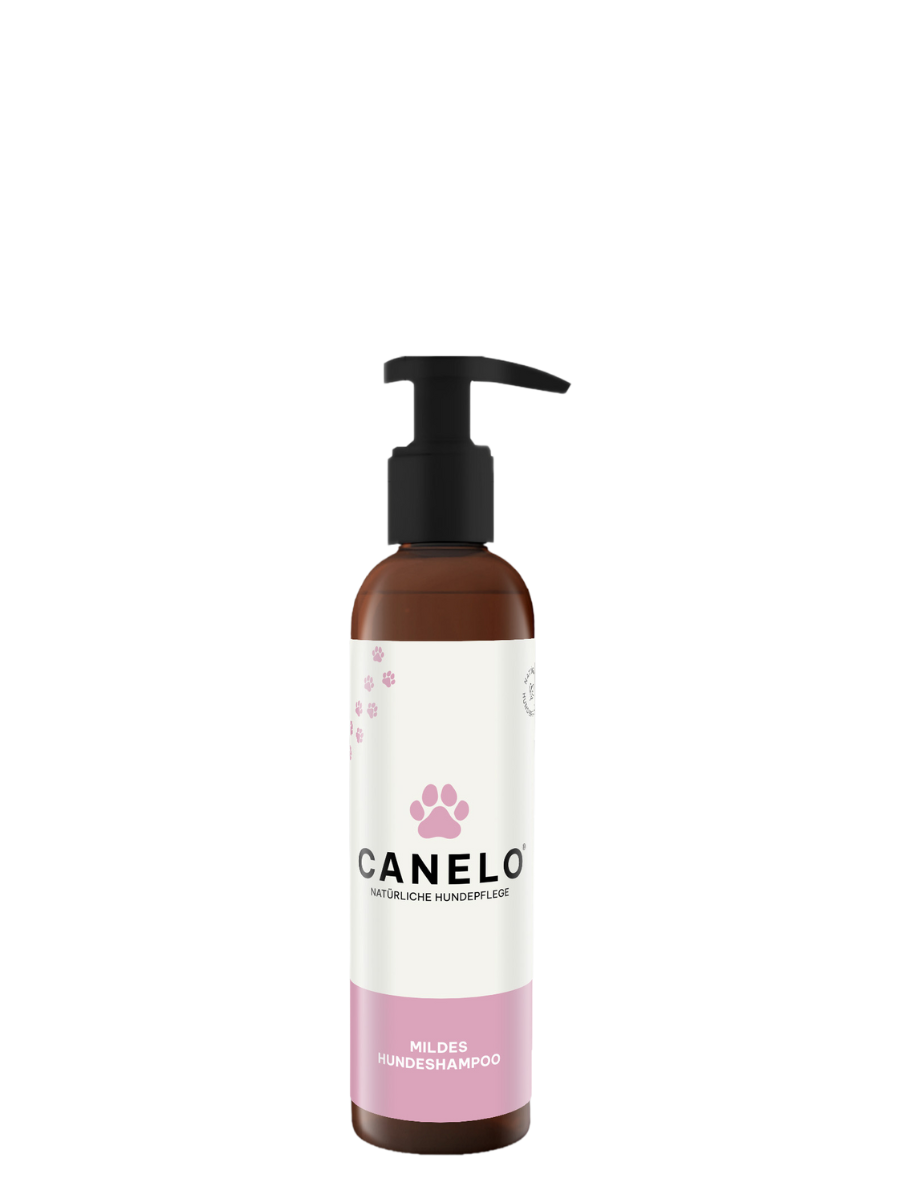 Mildes Hundeshampoo