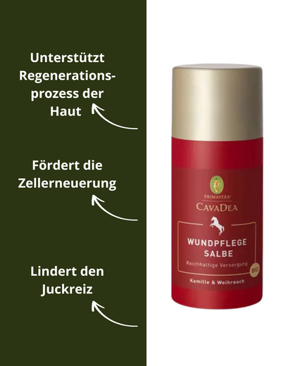 Wundpflege Salbe bio
