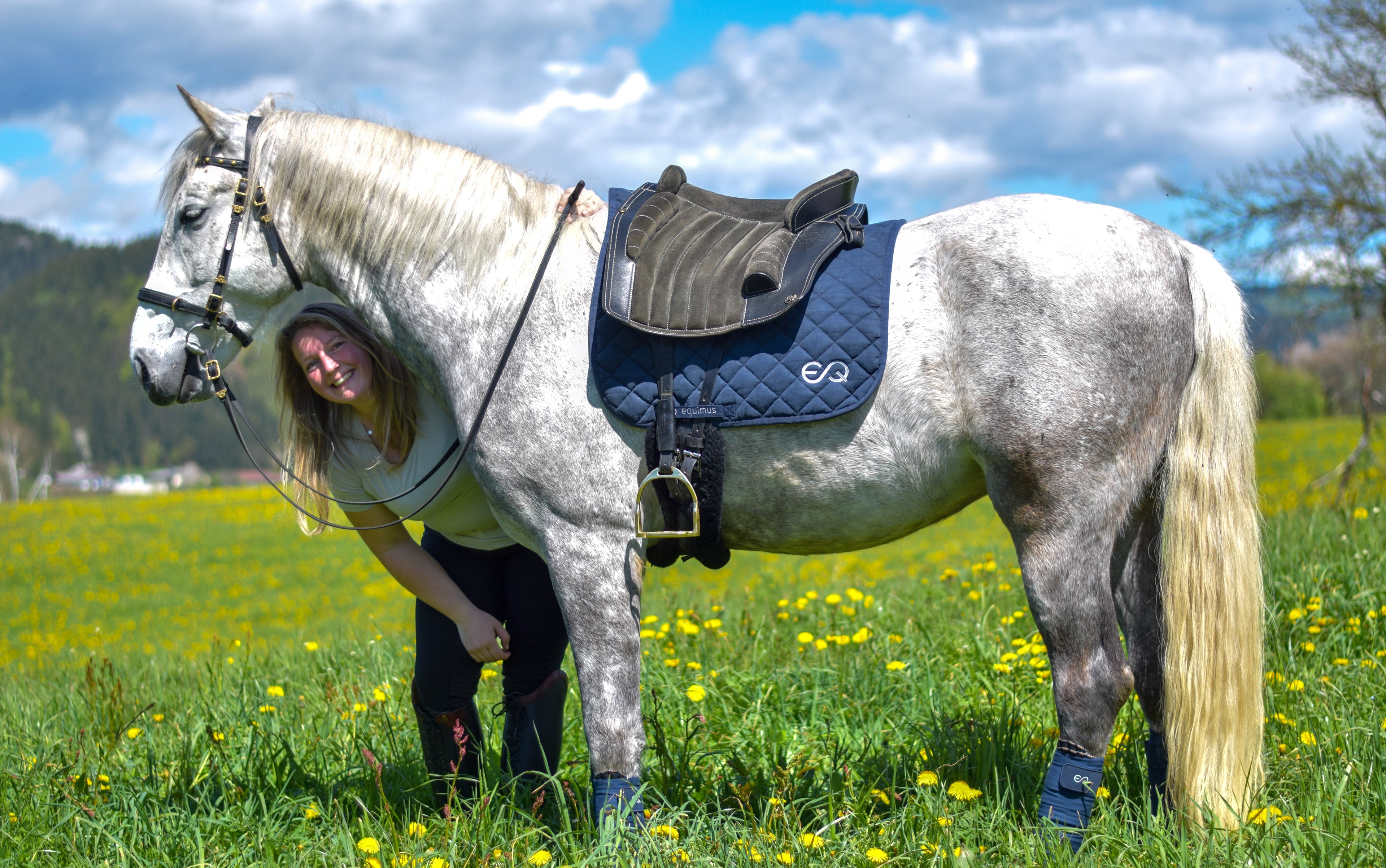 Lipizzaner mit Kitty